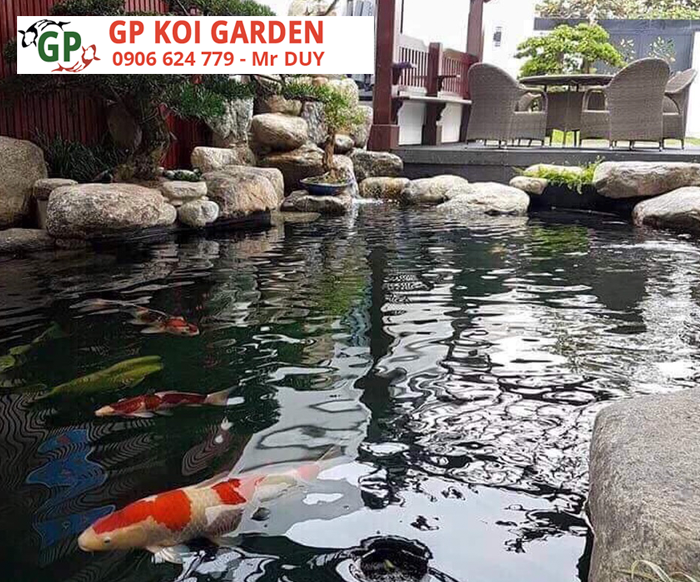 Thiết Kế Thi Công Hồ Cá Koi Gia Phát