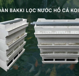 Dàn bakki lọc nước hồ cá koi